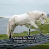 Island Screenshot OutHorse Your Email to Iceland’s Horses.png